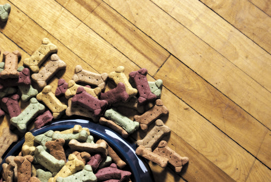 Comment choisir ces friandises ? - Dogzio