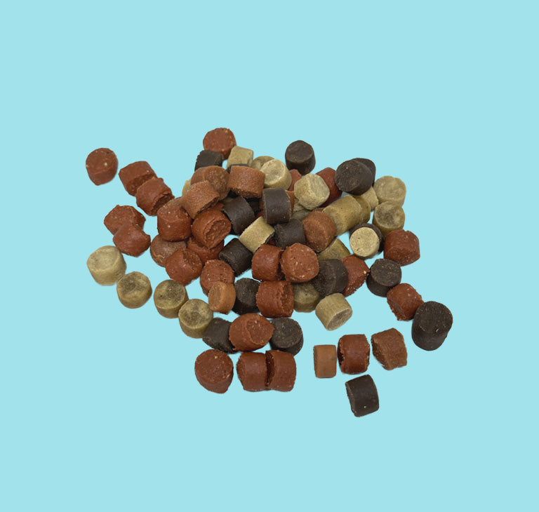 Friandises au poulet et saumon pour chiot riche en Oméga3 et Oméga6- Dogzio