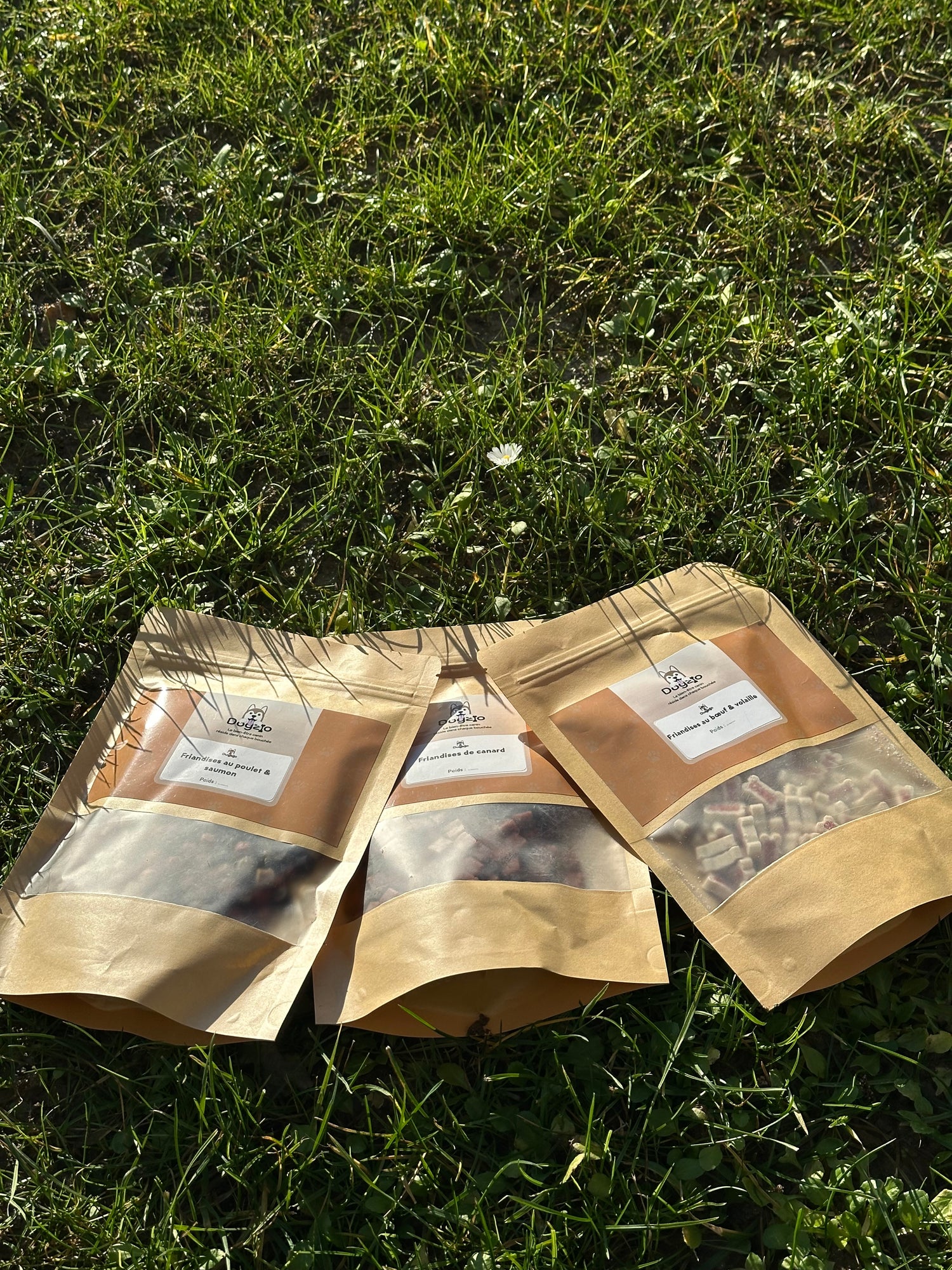 3 sachets de friandises pour chien savoureuses avec des variétés différentes