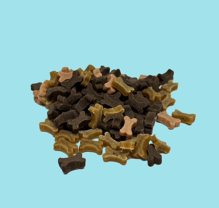 Mélange de friandises poulet agneau saumon sans sucre, enrichies en calcium pour chiot