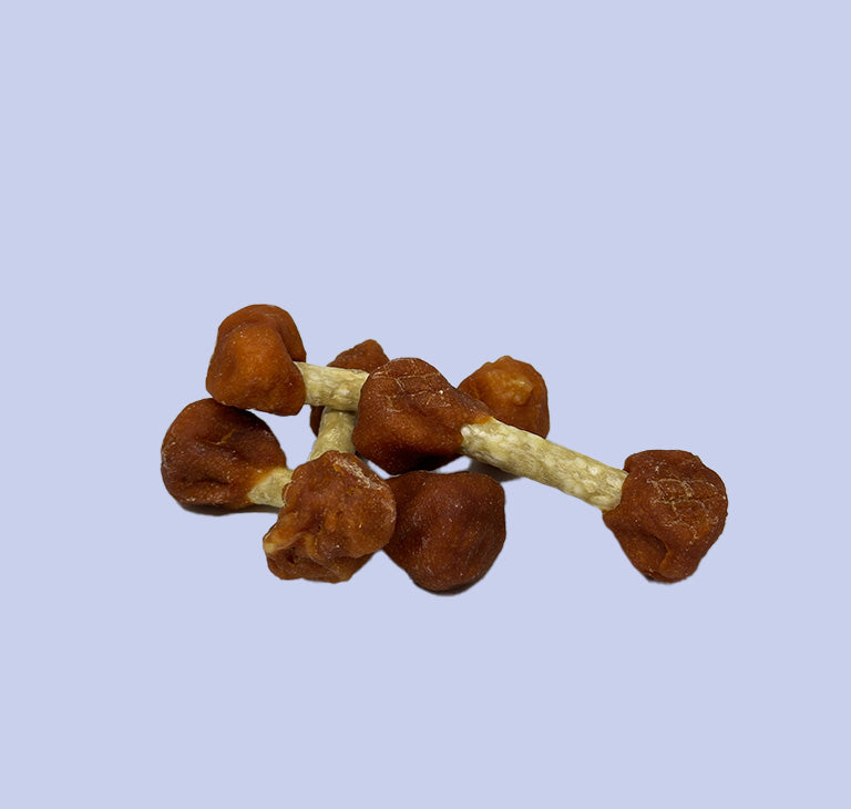 Gros plan sur un bone au poulet sans gluten, friandise pour chien